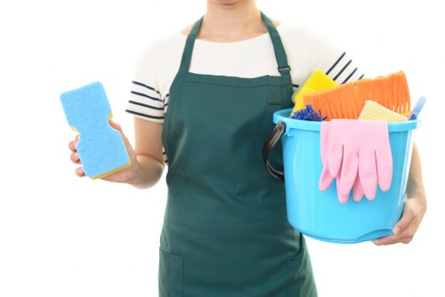 Professional cleaners in Kingston upon Thames working in a clean modern home
