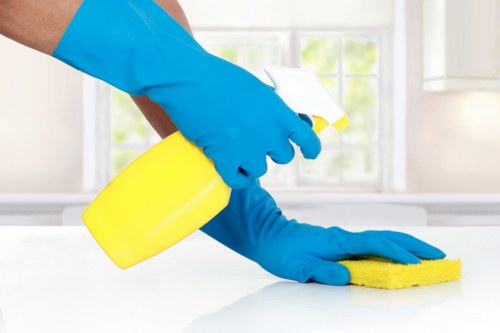 Commercial cleaner in a Kingston upon Thames office reception area