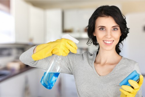 Kitchen deep cleaning details in a Kingston upon Thames property