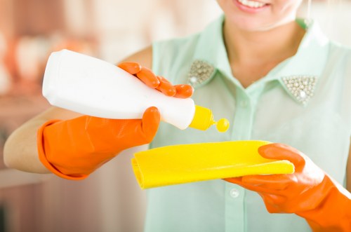 Detailed bathroom cleaning before settling into a new home