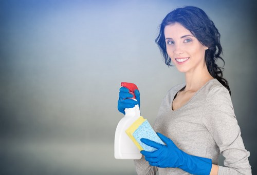 Deep mattress cleaning process in a local Kingston property